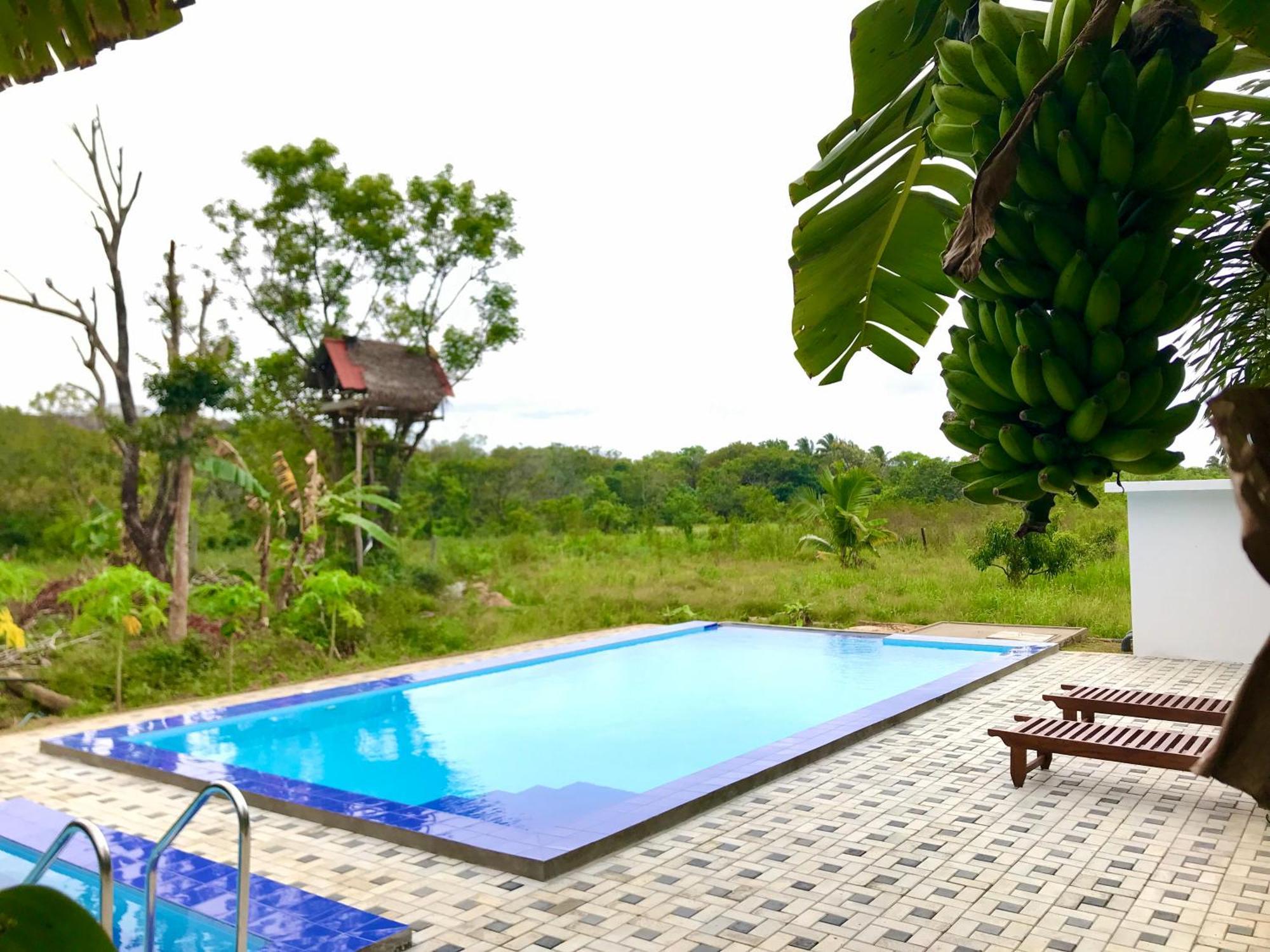 Darshani Lodge Sigiriya Esterno foto